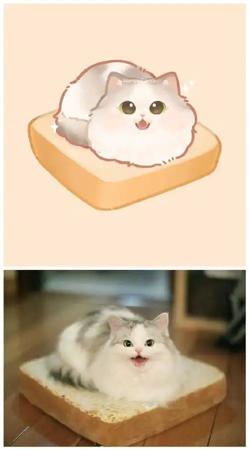 小动物们的表情包漫画,救命,萌翻了!#穿越二次元企划##出道吧新星