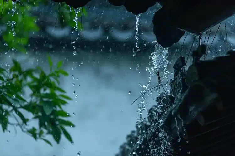 江南烟雨清名桥大窑路一直是闲暇时去走走的地方六月的江南正是梅雨