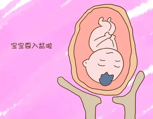 入盆是什么感觉?有这些症状,恭喜你快要卸货了