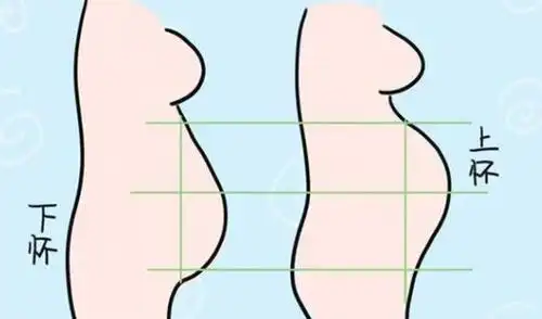 "上怀吐,下怀尿",孕肚形状看不出胎儿性别,但决定孕吐程度