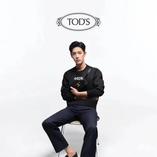 tods肖战同款包