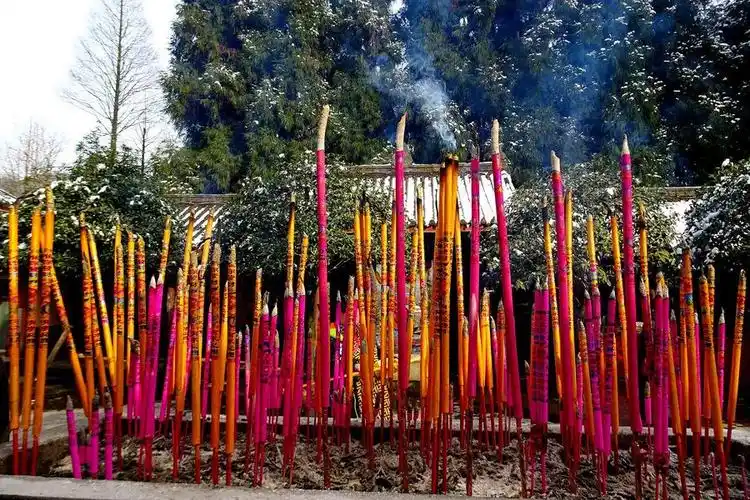 要发财 烧高香 (共 8 p)