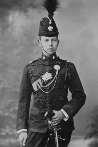 贵族王子二次元