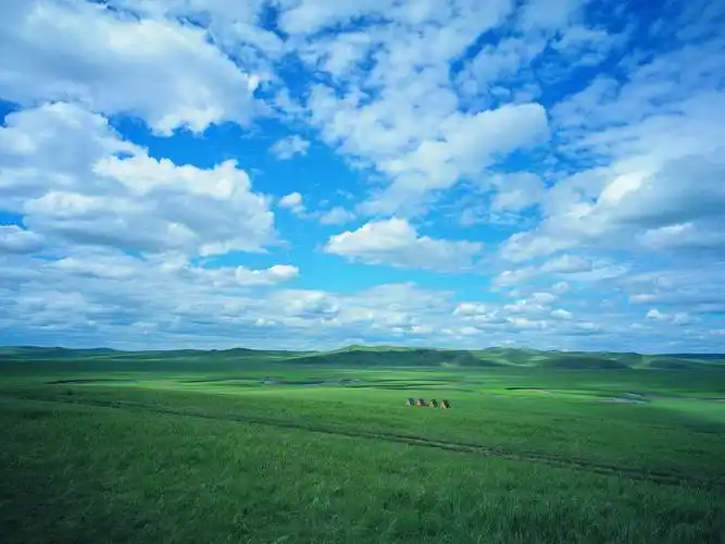 夏天的广阔草原1600x1200第24张桌面