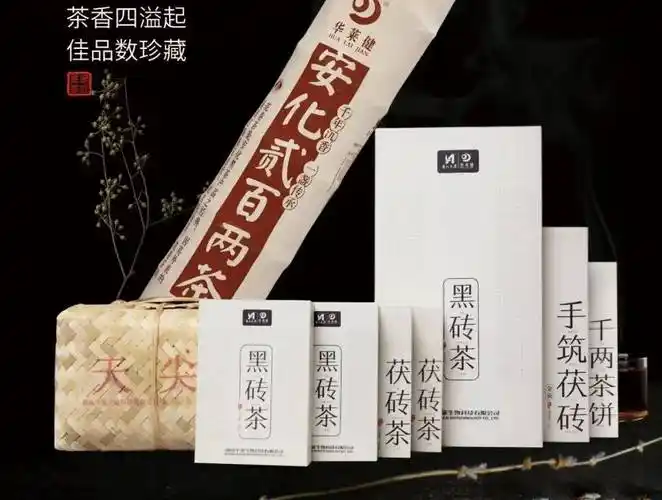 理想华莱刘仲华院士安化黑茶的价值是喝出来的