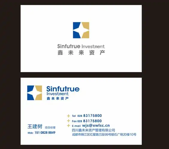 名片投资名片模板名片设计