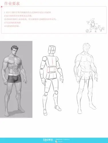 动漫插画之男性人体肌肉解析