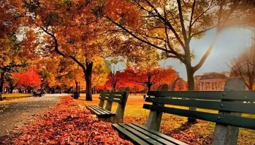 jia有福利晒身边秋天美景高颜值抱枕任性送