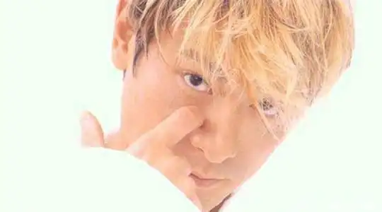 魅力型,大叔型的风格,但是1999年的刘德华那种青春朝气真是非常吸引人