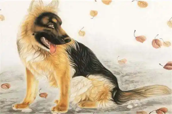 生肖狗2021年运势财运(生肖狗2021年运势财运方位)