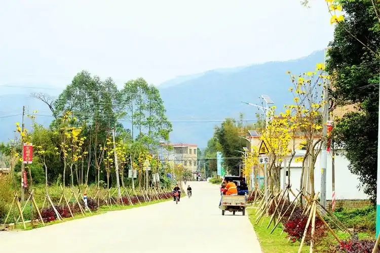 惠州龙门陈村完美"蝶变" 新农村建设焕发活力