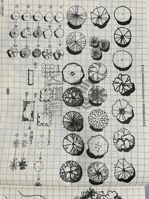 城乡规划快题之植物配置