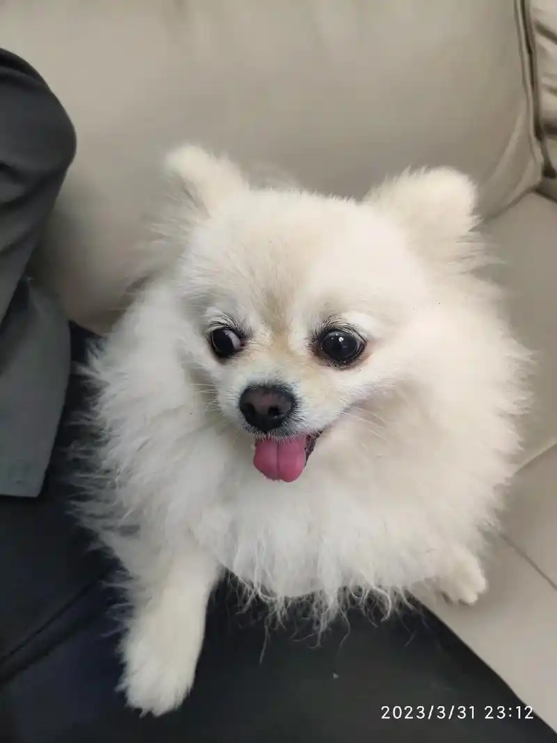 又好看又凶残又可爱 - 抖音