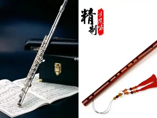 求助帖中国竹笛和西洋长笛71