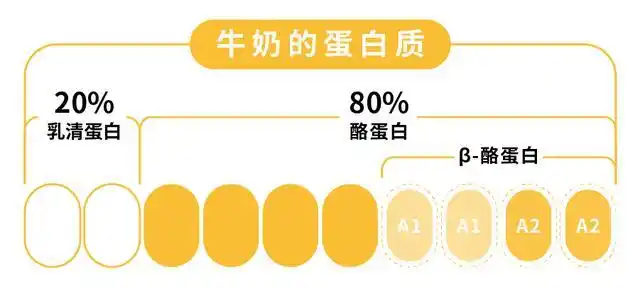 10块和100块的牛奶差距有多大?喝了40斤奶的我们来回答了!