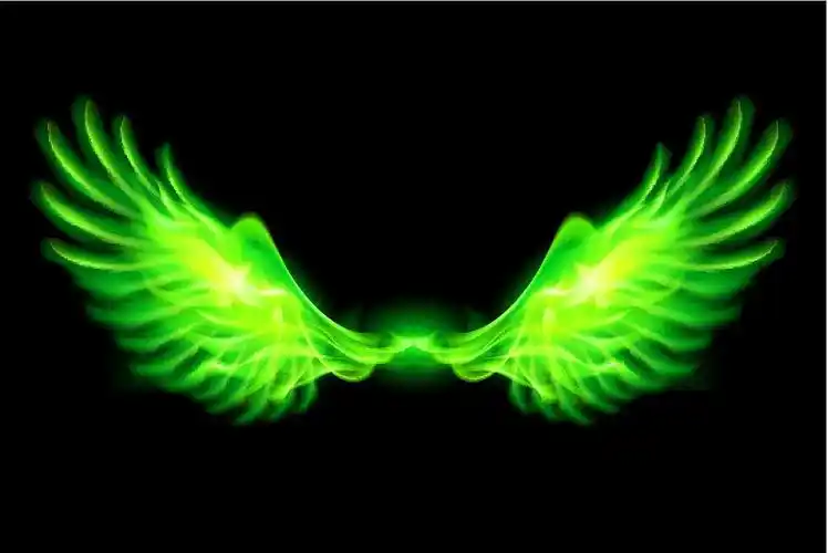 绿色火焰的翅膀.图片