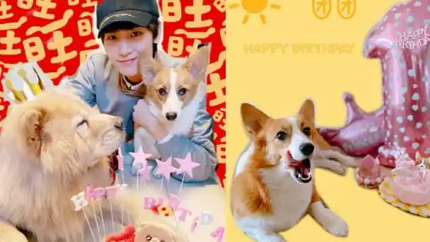 黄俊捷0709生日快乐##和26岁的黄俊捷一起许愿