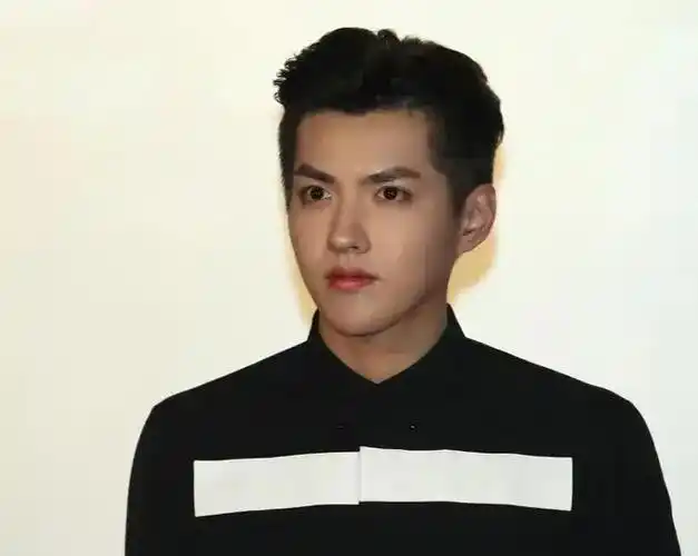 吴亦凡母亲也是一个大美人她对儿子的二审定罪表示不服