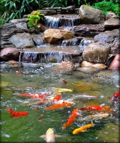 庭院花园里的自然水池,水景可以这样造!