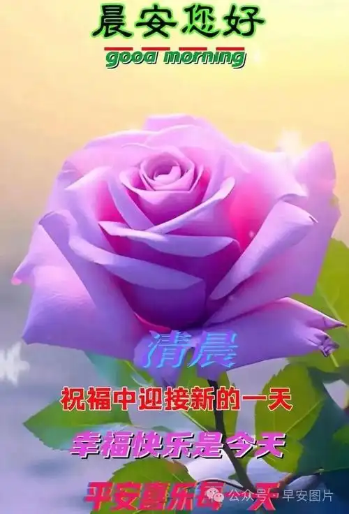 今日最新早安动态图片,早安温馨祝福图片