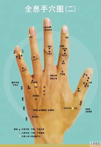 神奇的全息手诊手疗(上) - 云中老歌 - 云中老歌的博客