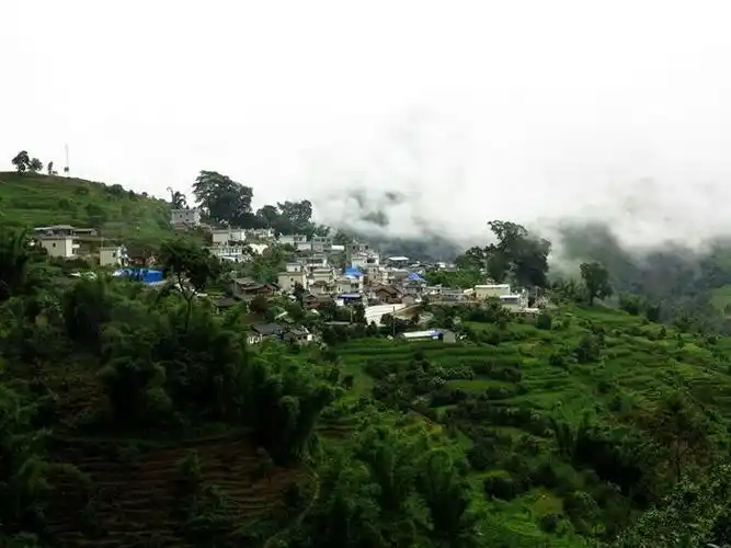 打开尘封历史 知味冰岛 品味八角亭冰岛老树普洱茶