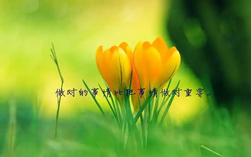 文艺小清新唯美高清桌面壁纸