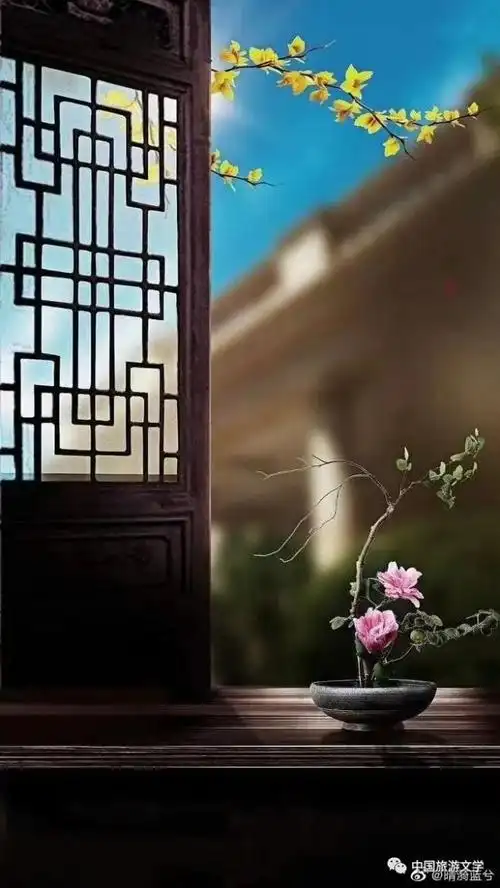 行走丨书香,如初见