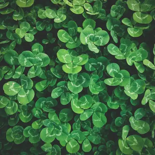 【后期教程】ins风后期教程,手机修图学起来