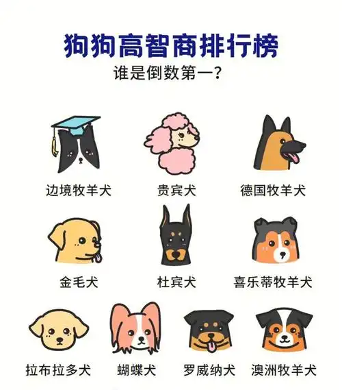 狗狗智商排行榜