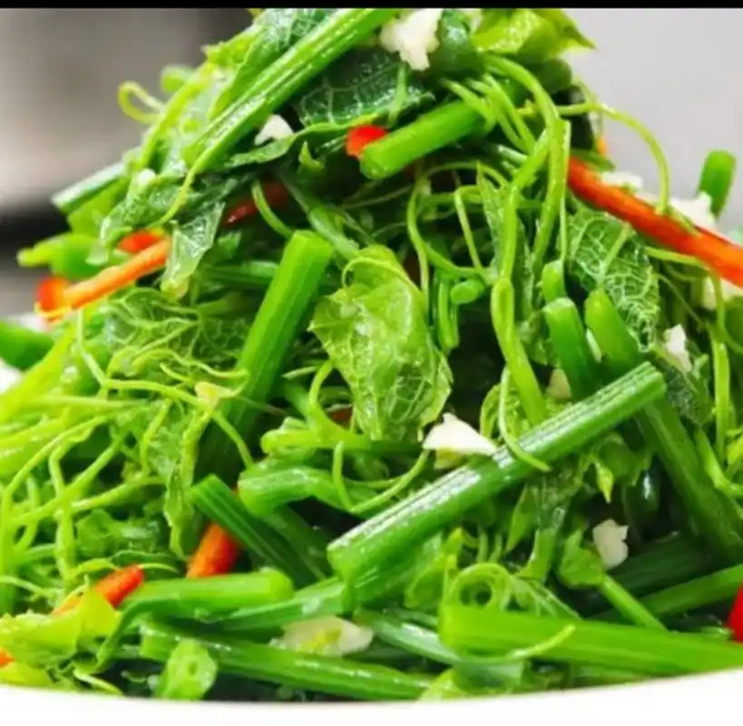 我的美食分享#  凉拌丝瓜尖  1,丝瓜尖处理干净,然后切成段,大蒜浅缮