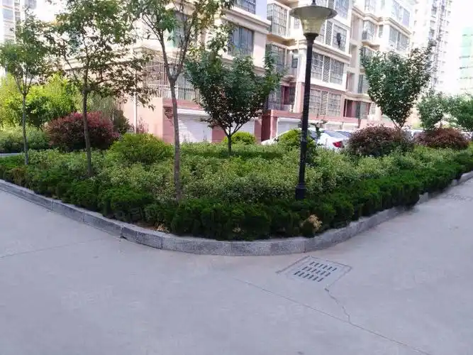 金城国际精装三室家具家电齐全拎包入住