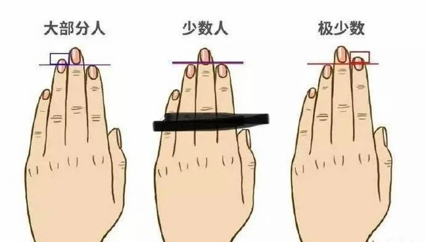 [吃瓜]  1,无名指长于食指,性格很要强,不管表面做得多么和善亲近