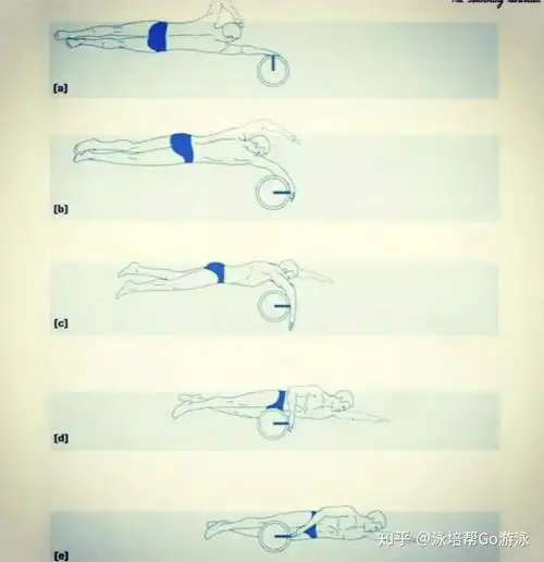 把自由泳划手分成6个部分哪里不对练哪里专注力更高效果更好