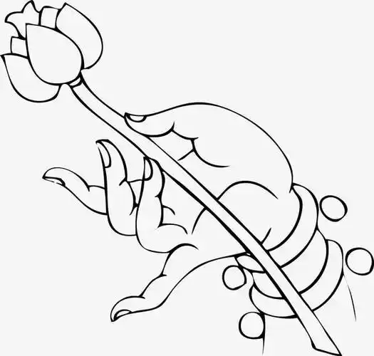 佛教手势 观音手 佛手 荷花