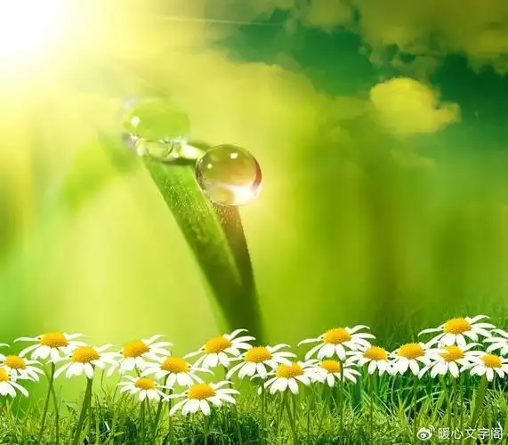 18个励志正能量句子,句句精辟,句句经典,值得收藏!