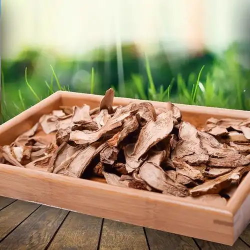 天华山 富硒 美味牛肝菌干货 宁陕山珍秦岭野生陕西特产 黄牛肝菌