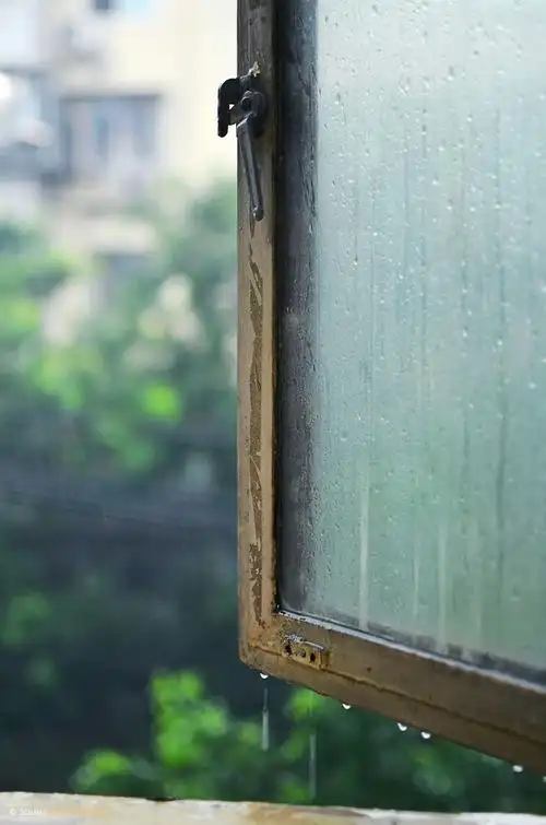 窗外的雨看着窗外淅淅沥沥的雨水打湿不太干净的窗户的时候,恍惚间