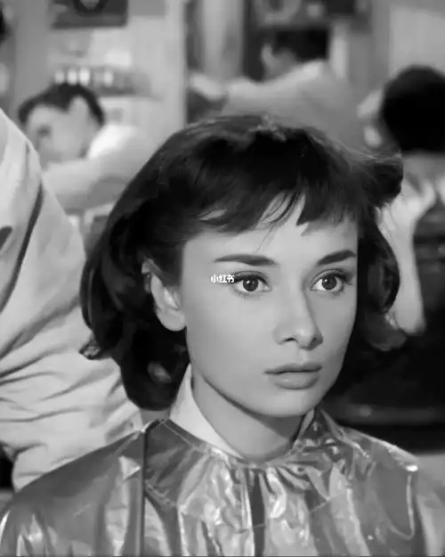 奥黛丽·赫本《罗马假日》剧照1953年