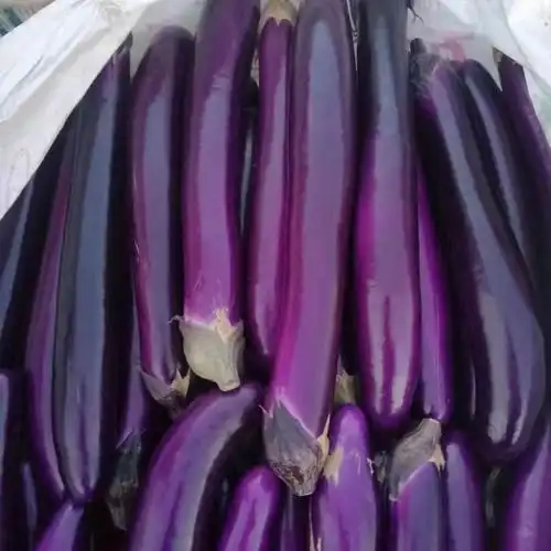 三月,四月包装系列简装系列包装方式食用农产品规格3斤,5斤品种茄子