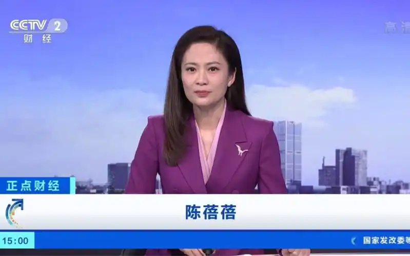 cctv-2中央广播电视总台央视财经频道《正点财经》主播:陈蓓蓓