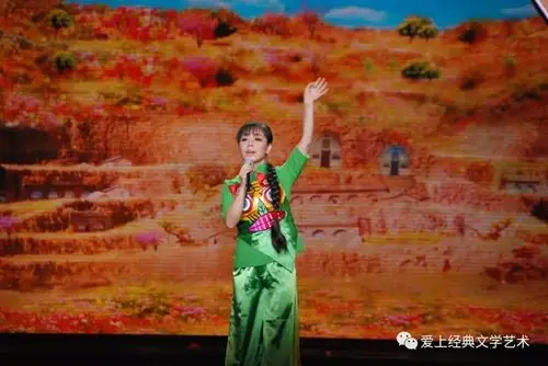 王二妮黄土地上的百灵鸟国外演唱会惊艳了世界