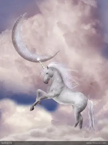 梦幻背景下的白色独角兽高清图片