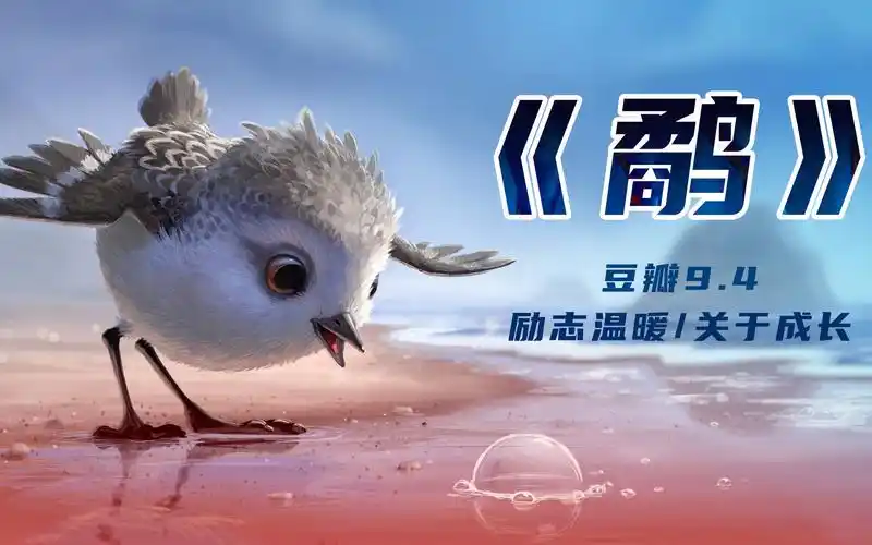 奥斯卡获奖动画《鹬》,太治愈!一个关于爱与成长的故事