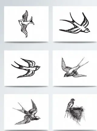 手绘素描燕子立春元素