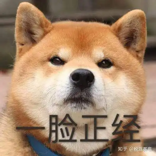 男生狗头保命是什么梗