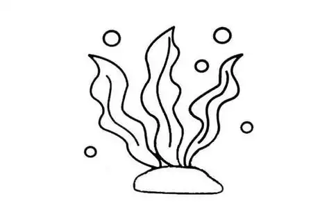 好看的海底海草简笔画图片教程步骤植物简笔画海草简笔画步骤图 海洋