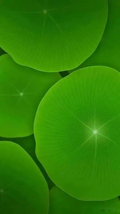 绿色背景图,绿色背景图卡通(护眼壁纸:绿色清新背景图)