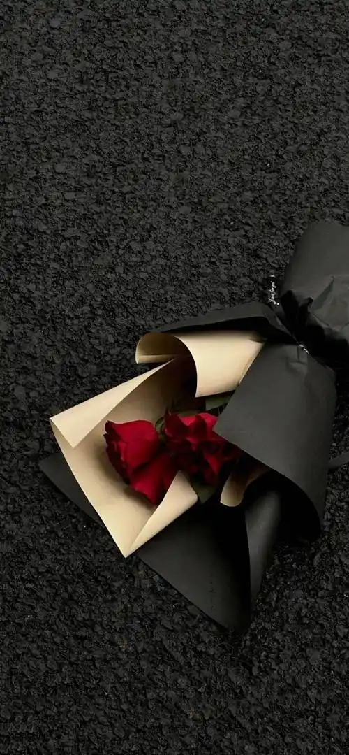 壁纸|高级感拉满全屏壁纸