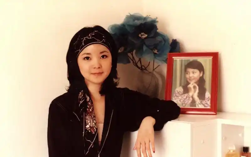 邓丽君-路边的野花不要采